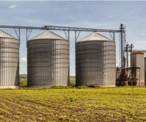 Продажа агробизнеса с 420 гектарами земли Болгария, Балчик